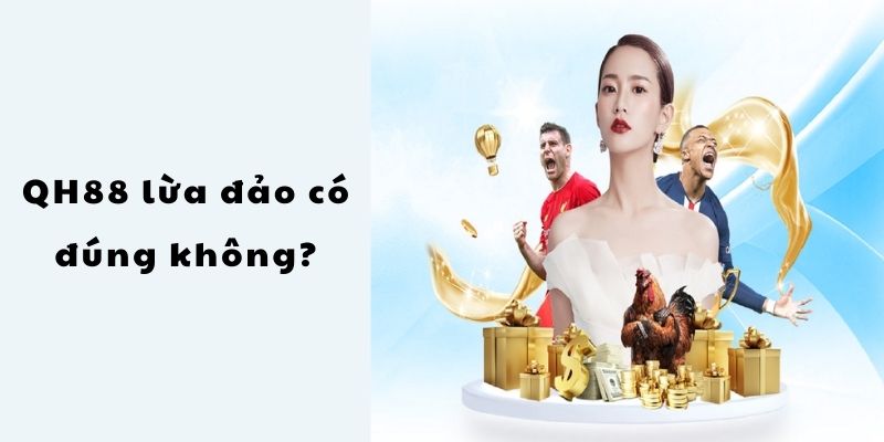 QH88 Lừa Đảo? Sự Thật - Giải Mã Tin Đồn, Đánh Giá Chi Tiết 1 tin don nha cai qh88 lua dao 67d4df325905a